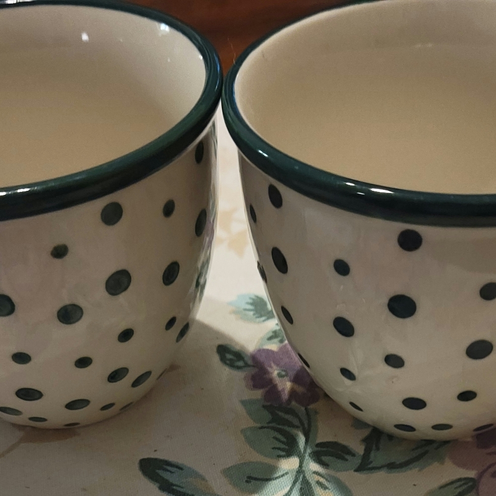 A pair of Pioneer Woman Retro White with green polka dots large coffee cups.